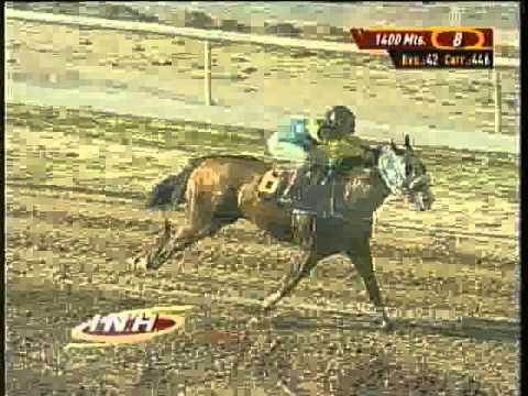 Resumen Domingo, 01 de Junio de 2014 - La Rinconada