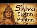 Vedic Chants Shiva Stotras And Mantras Shivratri Special