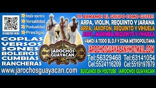 Pajaro Chogüi - Jarochos Guayacan - Grupo Jarocho en el Edo. de Mexico