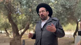 כיצד ראוי לנהוג באומות • פרשת וישלח | הרב אליהו ובר (ישיבת הר הבית) - התמונה מוצגת ישירות מתוך אתר האינטרנט יוטיוב. זכויות היוצרים בתמונה שייכות ליוצרה. קישור קרדיט למקור התוכן נמצא בתוך דף הסרטון