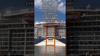 Who Wants to Take a Magic Carpet Ride?!? Celebrity Apex