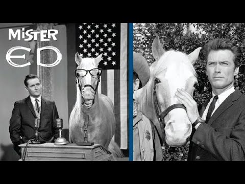 This is How Mister Ed the Talking Horse Died