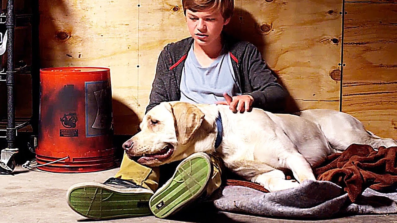 Un Chien Miraculeux - Film COMPLET en Français (Famille)