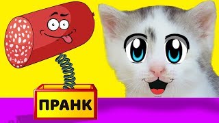 ЛЕТНИЕ ПРАНКИ НАД КОТАМИ! НОВЫЕ ПРИКОЛЫ для пары КОТ Малыш и КОШЕЧКА! 3 смешных пранков над друзьями