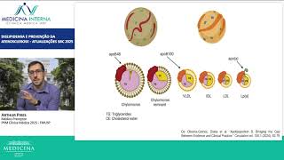 Dyslipidemia and Atherosclerosis Prevention - SBC 2025 Update