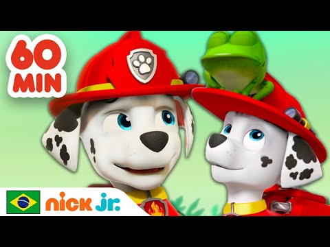 Capa de Patrulha Canina | 1 hora dos melhores resgates do Marshall! | Nick Jr. em Português