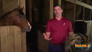 Steaming Hay for Horses - Steam Culture