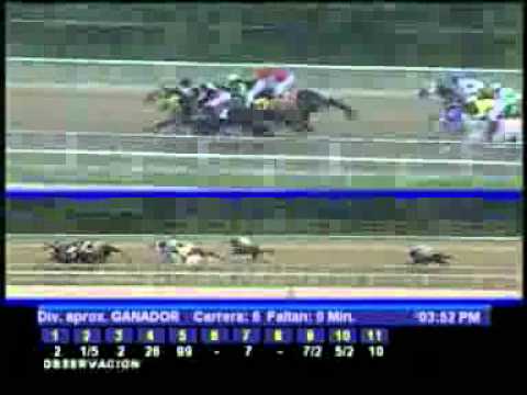 2DA VALIDA 5Y6 SABADO 11 FEBRERO