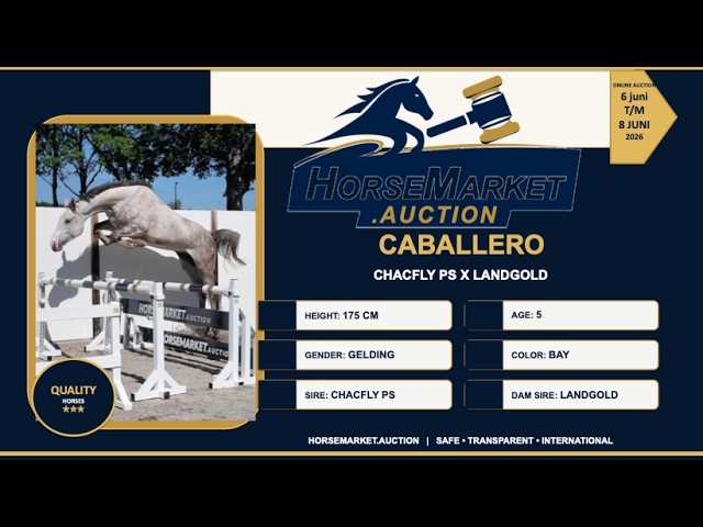 Caballero