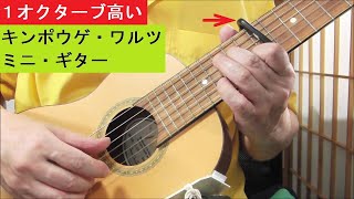 １オクターブ高い　キンポウゲ・ワルツ（ビックフォード）：ミニギター：One octave higher Buttercup Waltz(Bickford)：Mini guitar