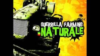 Guerrilla Farming 