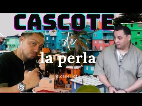 CASCOTE DE LA PERLA DE BICHOTE TO CHOTA