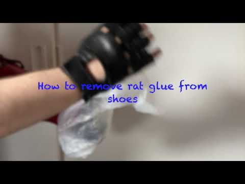 YouTube video about: How to get glue trap out of carpet?