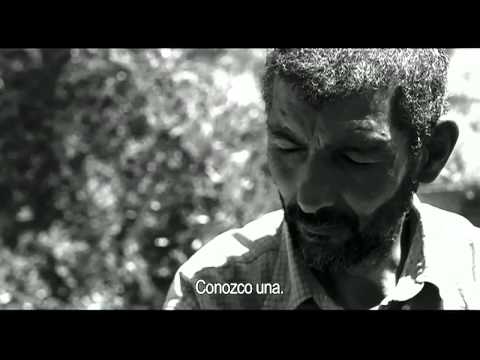 afbeelding Todos Vós Sodes Capitáns