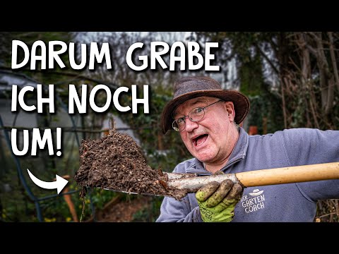 Digging up the vegetable patch in spring 🧹 - In this case it makes sense!