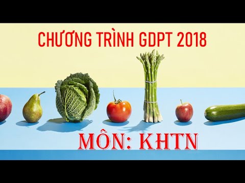 Chương trình GDPT 2018 - Môn KHTN