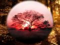 Candi Staton - It's Not Easy Letting Go