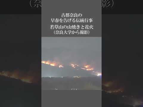 言語文化学科 【若草山焼き＆奈良礼賛大花火２０２５】奈良大学から見えました #奈良大学 #奈良 #shorts