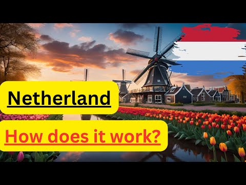 Dutch Economy: A Lesson in Wealth Inequality and Taxes