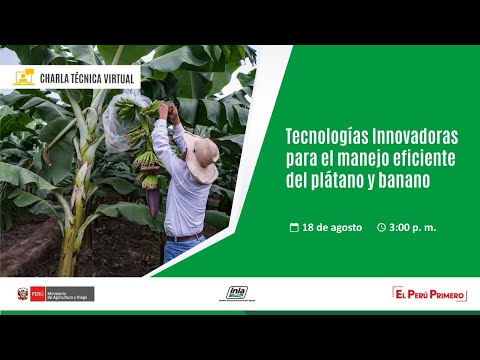 , title : 'Tecnologías Innovadoras para el manejo eficiente del plátano y banano'