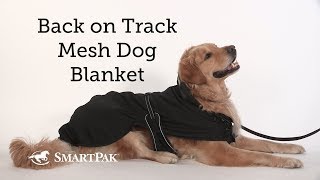 Back on Track Mesh Dog Blanket Review