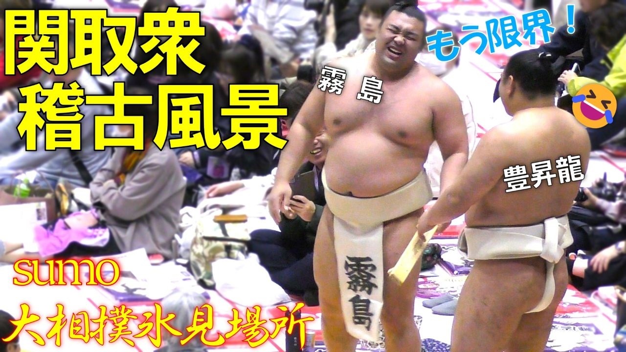 豊昇龍と霧島のバトルが始まる！関取衆の稽古風景✨【大相撲】春巡業氷見場所🥁The battle between Hoshoryu and Kirishima begins!