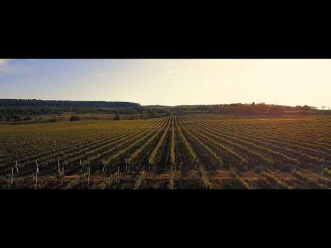 Prezentare Crama Strunga