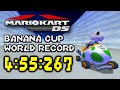Mario Kart DS Banana Cup 150cc World Record In 4 55 267