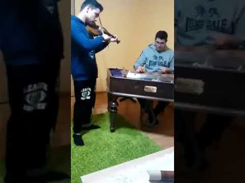 Postoj koňik pejka. Cimbal husle