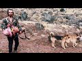 Goat Hunting - Alejandro Selkirk Island