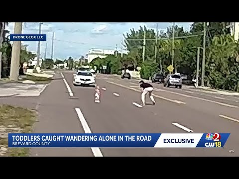 Man Saves Toddlers From Traffic