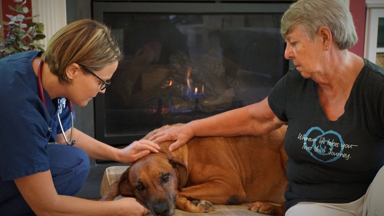 In-Home Euthanasia With Costs - Capital Home Veterinary Care In-Home Euthanasia With Costs - Capital Home Veterinary Care