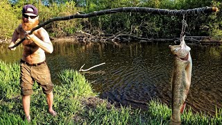 Ultimate Survival Fishing Challenge! | No Rod, No Hooks, No Line, No Bait (no problem!)