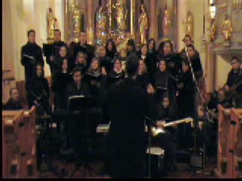 Mladinski pevski zbor Sveti Martin - Hej tema prijatelj moj