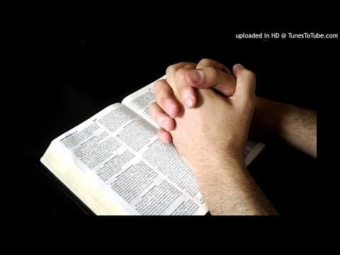 ds D. Jongeneel - Biddag 2020