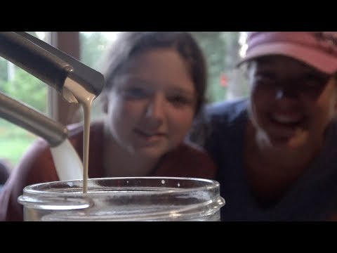 download lagu mp3 mp4 Goat Cream, download lagu Goat Cream gratis, unduh video klip Goat Cream