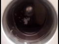 Quick Vids Of My Gf S Beko 5kg WM5100W Vid 11