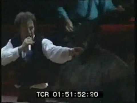 I'm A Coward (When It Comes To Love) cover