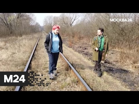 'Фанимани': как государство поддерживает экономику в условиях кризиса - Москва 24