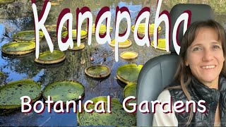 Van Life Road Trip | Kanapaha Botanical Gardens to O’Leno | Gainesville Florida