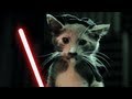 Jedi Kittens Strike Back 