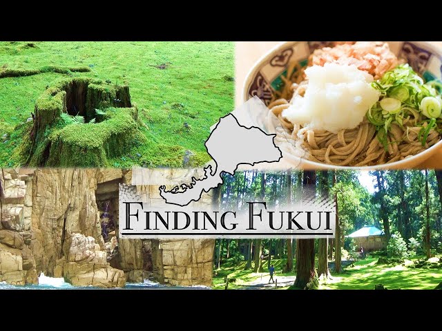 Finding Fukui / Tourist Spots in Fukui Prefecture 