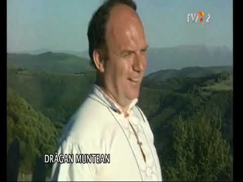 Dragan Muntean - Feciorii din Poienita