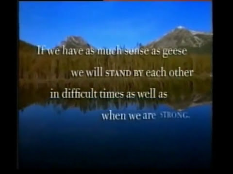 Moral Lessons From Geese