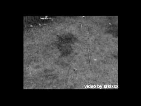 GeeS brate   ne umem da prashtam