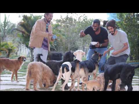 MarMitos - Canis Familiaris