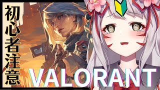 【ソロ】初心者VALORANT＃６