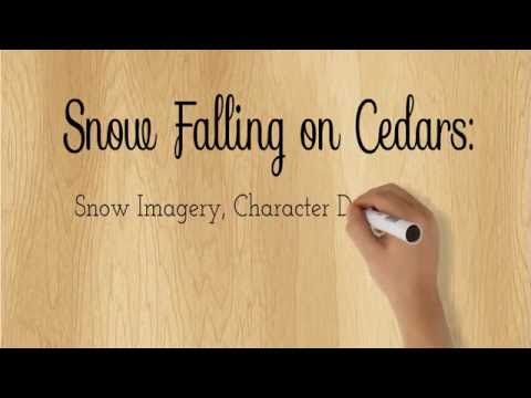 Snow Falling on Cedars