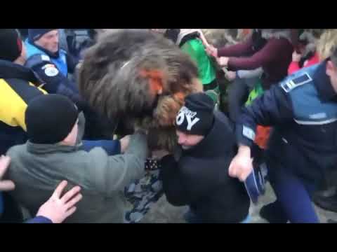 Bătaia de la Ruginoasa 👏🎅🇹🇩🎆❄🎄🥰🚔