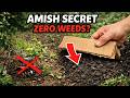 The Amish “No-Till Forever” Method They Hid From Modern Gardeners — Costs Nothing, Lasts a Lifetime
